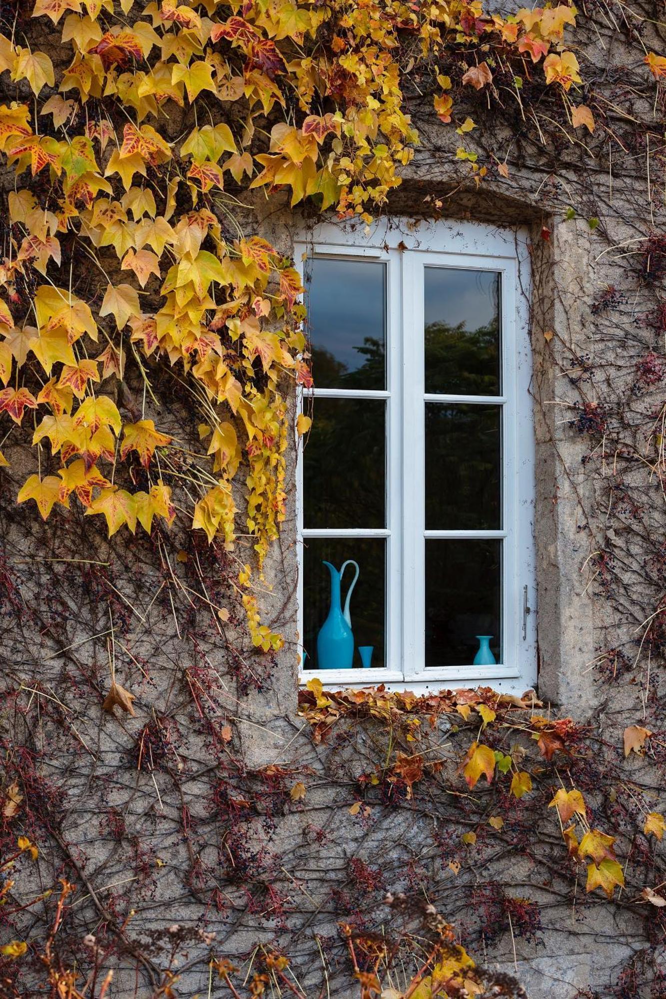 Moulin Renaudiots - Maison D'Hotes Autun Bagian luar foto