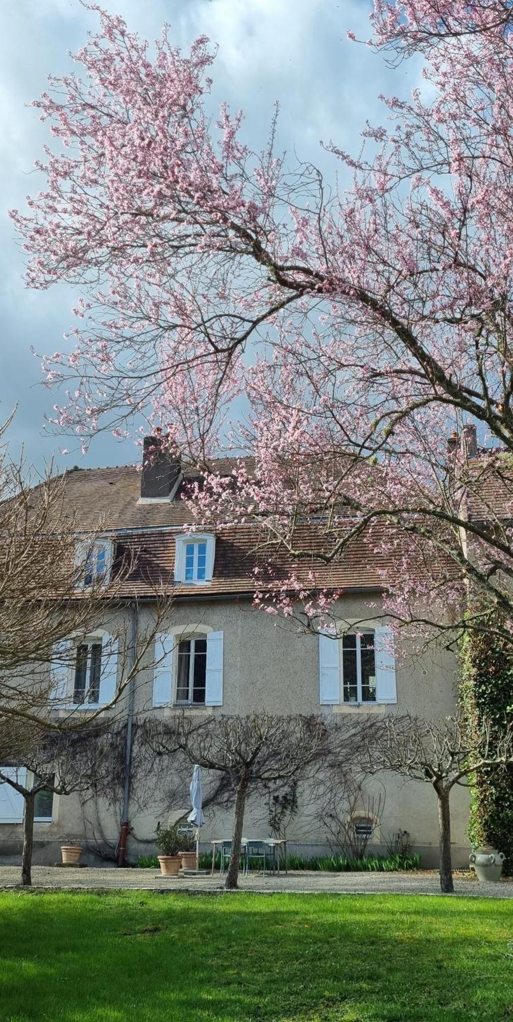 Moulin Renaudiots - Maison D'Hotes Autun Bagian luar foto
